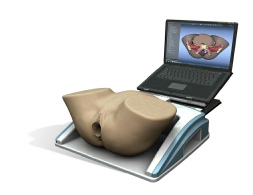 Pelvic Mentor